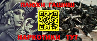 гашик Бийск