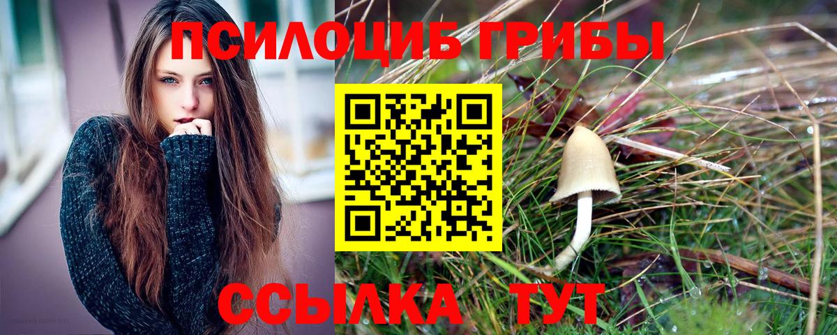 Галлюциногенные грибы Magic Shrooms  Псилоцибиновые грибы прущие грибы  Добрянка  Вход с VPN 
