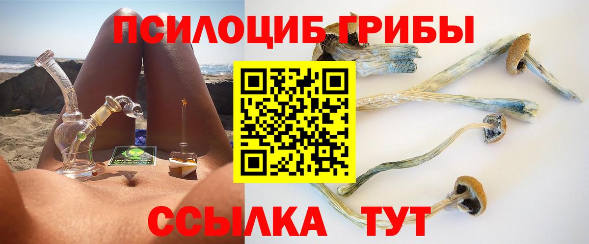 Галлюциногенные грибы GOLDEN TEACHER Добрянка